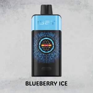 blueberry ice – iget one – 10000 puffs 1.jpg