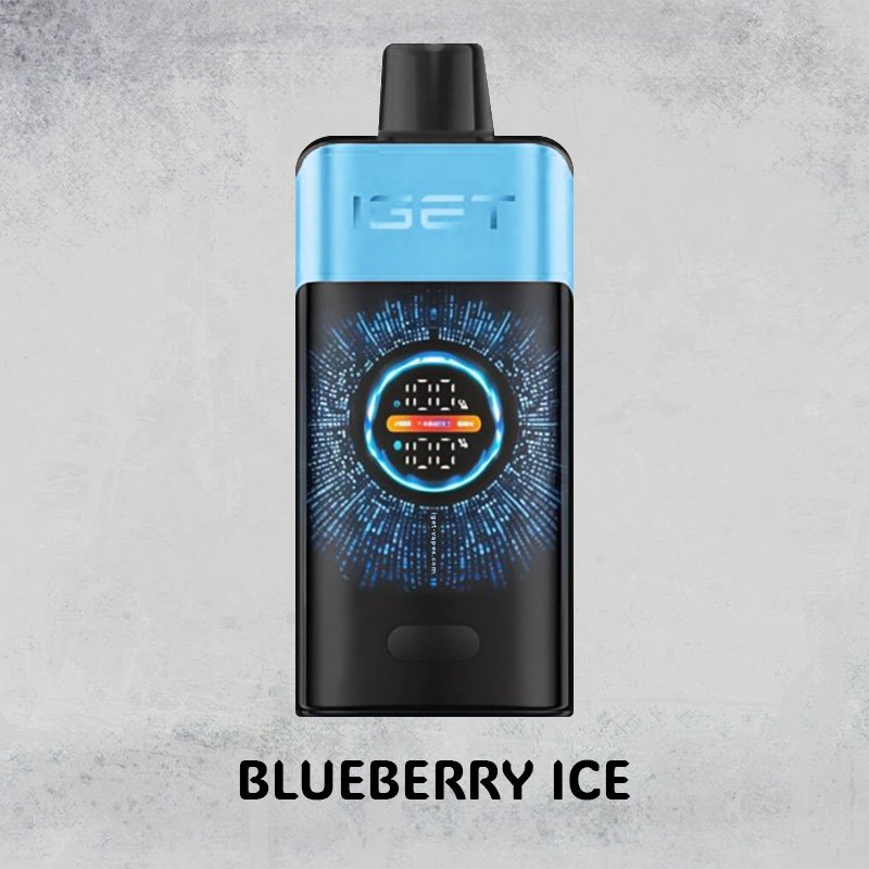 blueberry ice – iget one – 10000 puffs 1.jpg