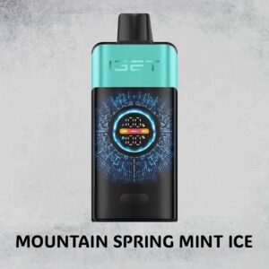 mountain spring mint ice – iget one – 10000 puffs 1.jpg